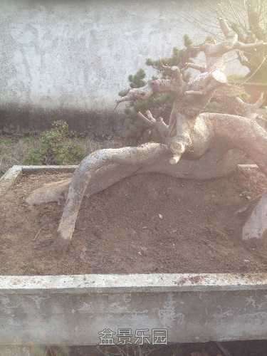 image.jpg