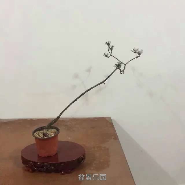 104.jpg