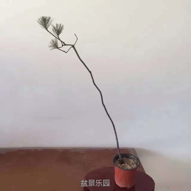 110.jpg