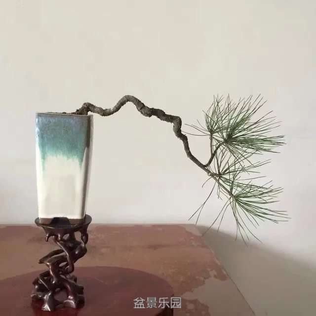 118.jpg
