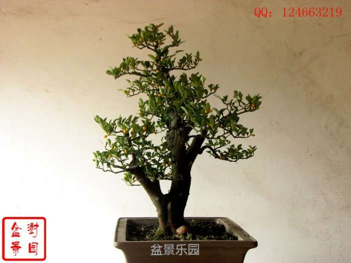 IMG_3276___.jpg