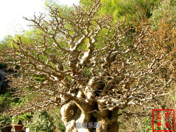152941w8q26nz12z8hqien.jpg