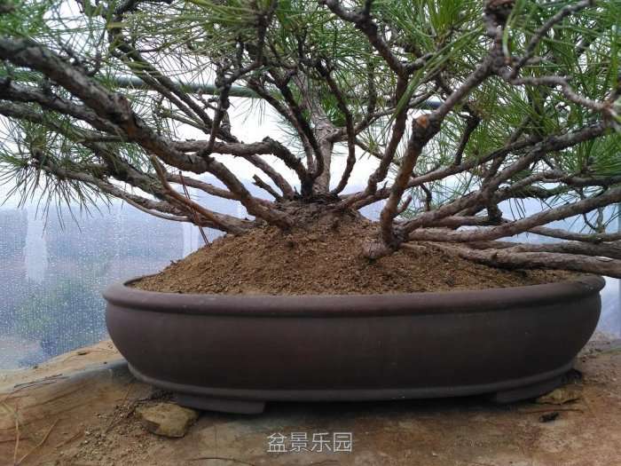 Ƭ 081.jpg
