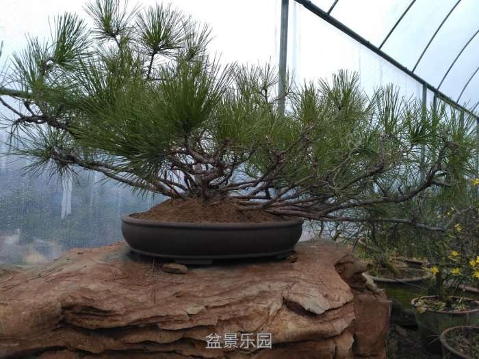 Ƭ 084.jpg