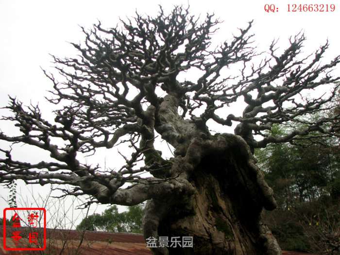 155130uxa399o1mr6wjzzm.jpg