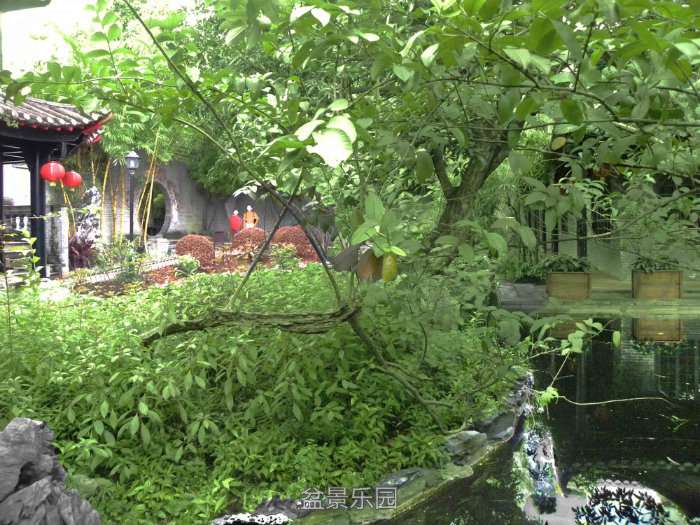 140916kl6grjljc69anrvm.jpg
