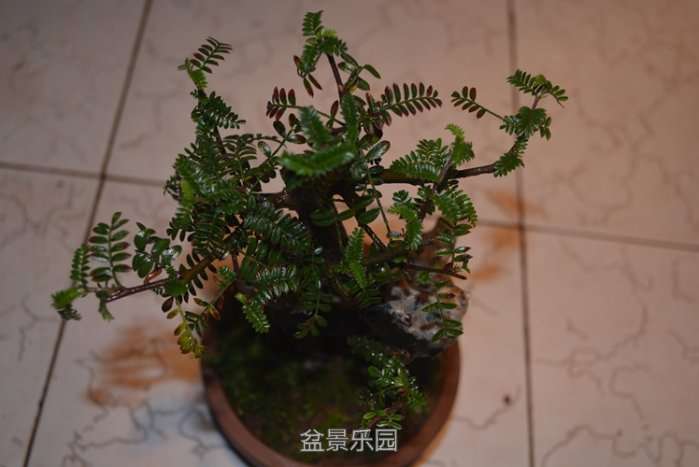 DSC_1488.jpg