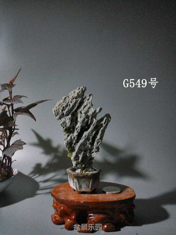 214305hktueeclsf2pcicl.jpg