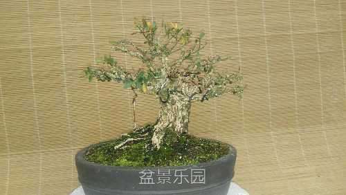 IMG_20170117_143509.jpg
