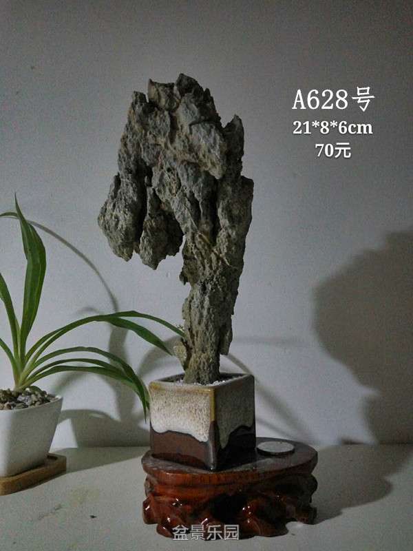 183608b8wkfzw13alakwwq.jpg