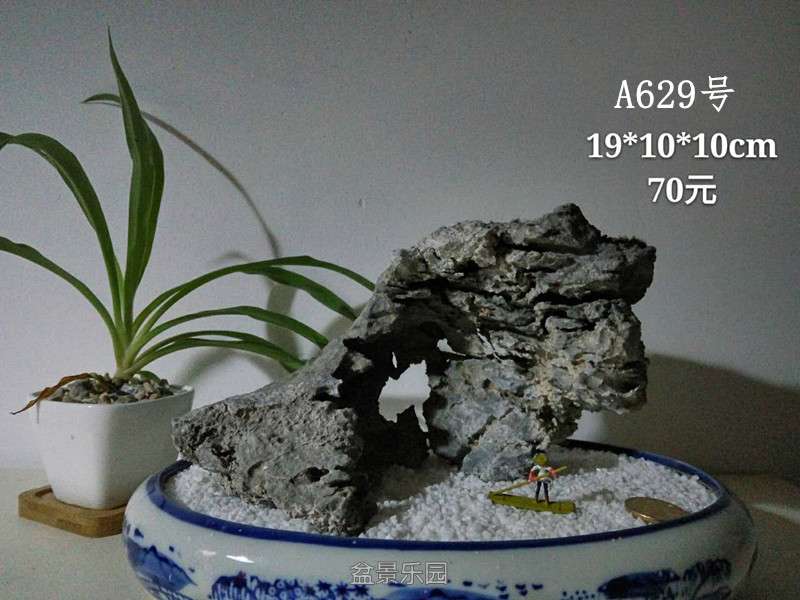 183609t219lb0l216081cb.jpg
