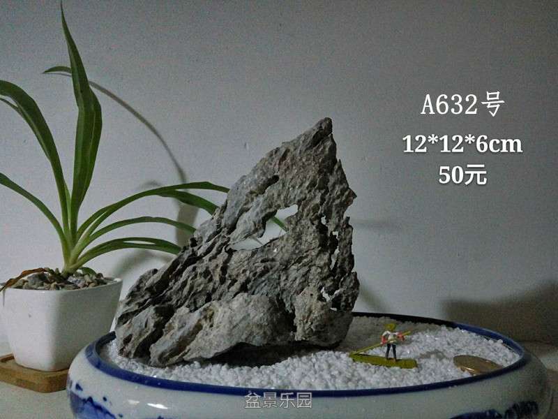 183614jppuuctpzsmcccct.jpg