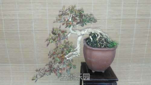 IMG_20170119_160711.jpg