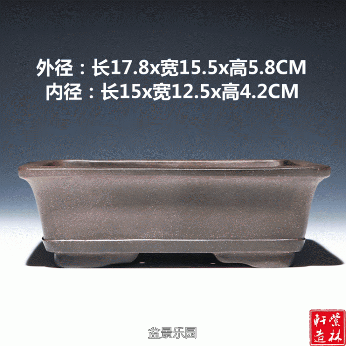 1.gif