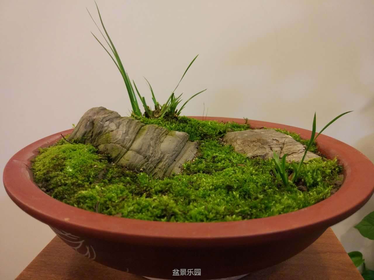 220710igofwpp9g10wfo1u.jpg