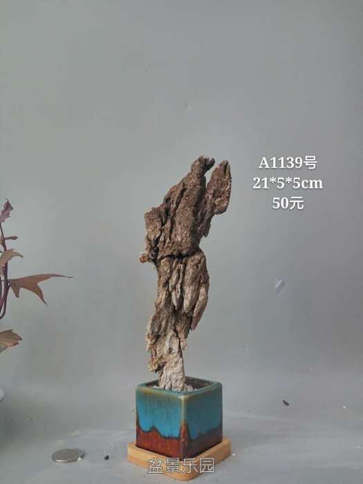 a1139.jpg