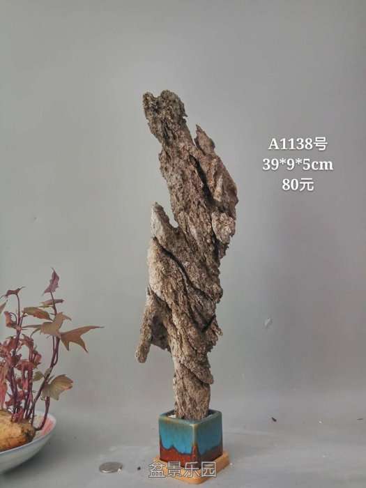 a1138.jpg