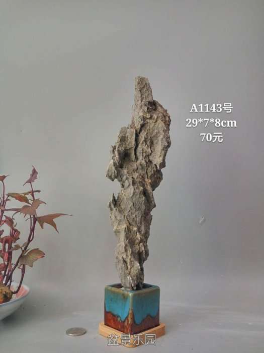 a1143.jpg