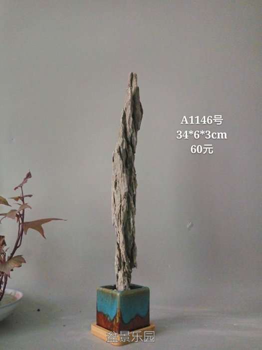 a1146.jpg