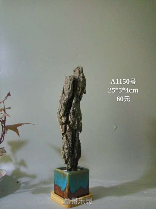 a1150.jpg