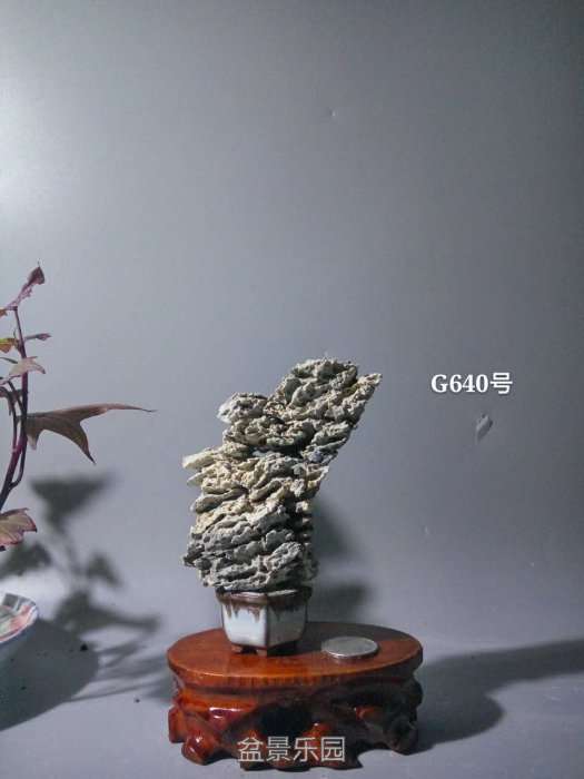 g640.jpg
