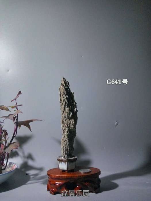 g641.jpg