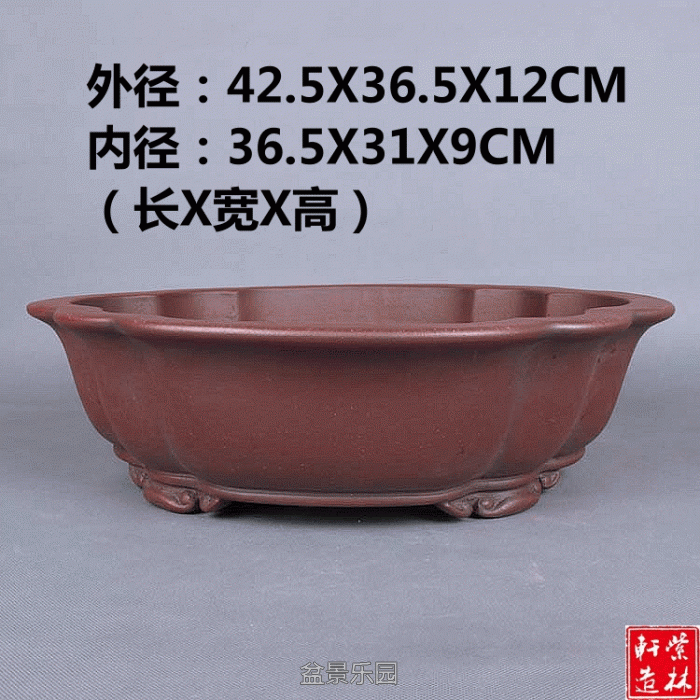 1.gif