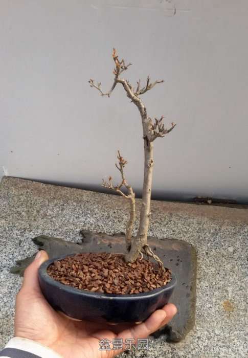 20170220_170413.jpg