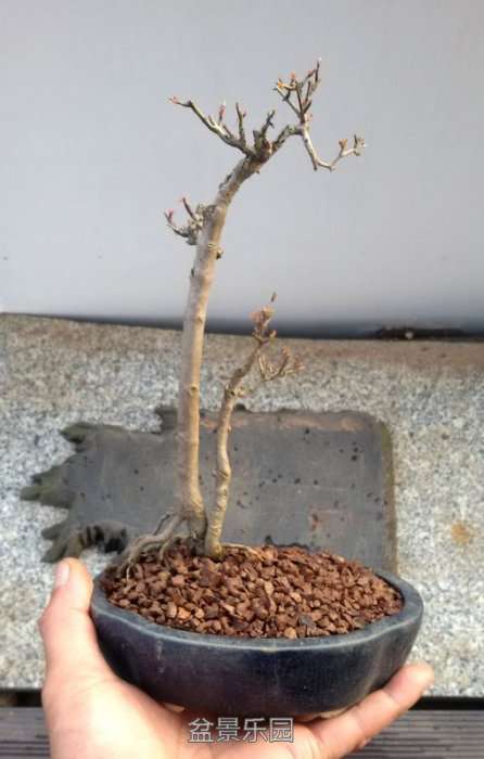 20170220_170356.jpg