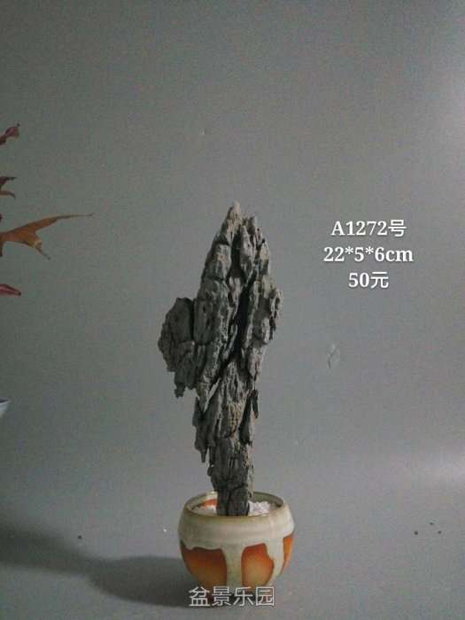 a1272.jpg