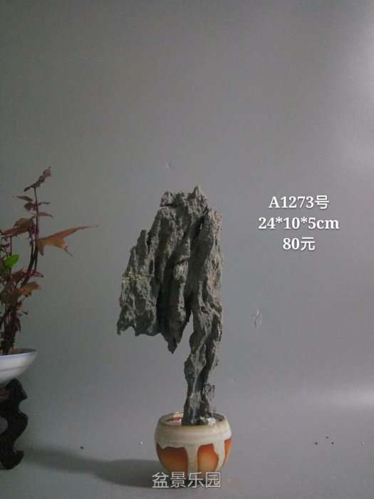 a1273.jpg