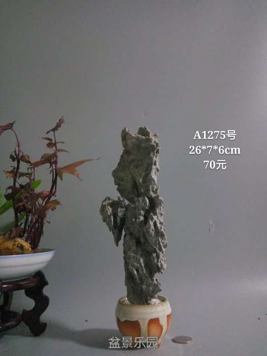 a1275.jpg