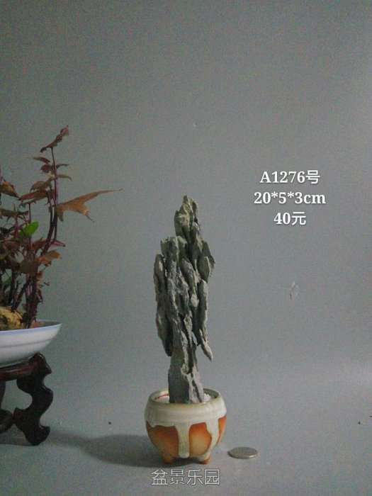 a1276.jpg