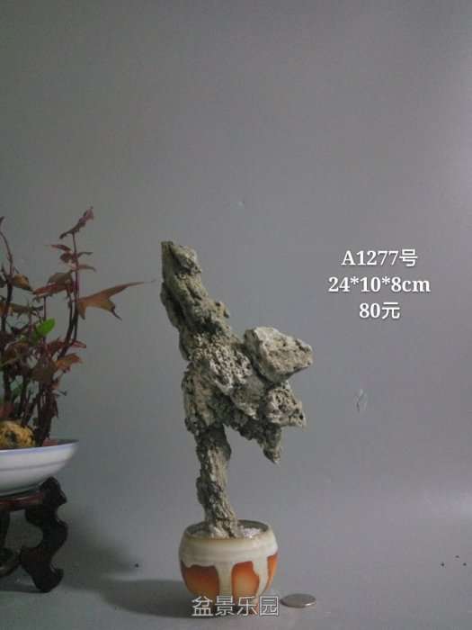 a1277.jpg