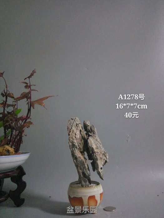 a1278.jpg