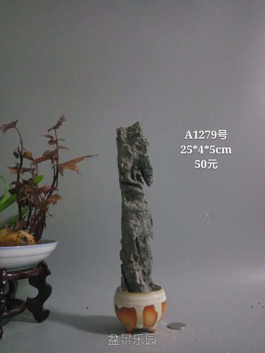 a1279.jpg