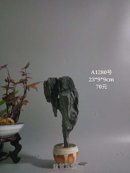a1280.jpg