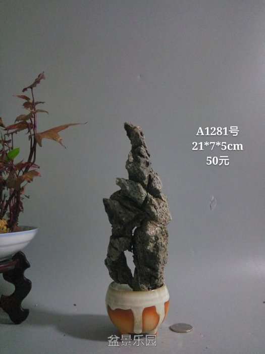 a1281.jpg