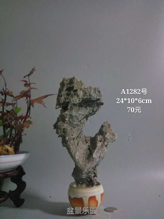 a1282.jpg