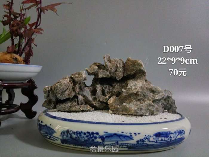d007.jpg
