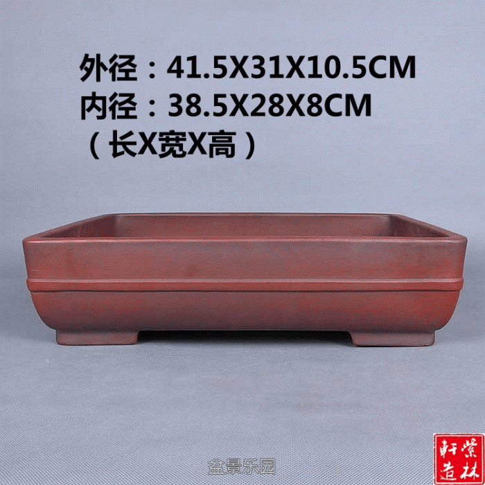 1.gif