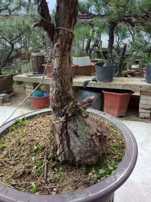 QQͼƬ20160524161501_.jpg