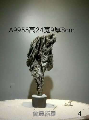 1787153508.jpeg