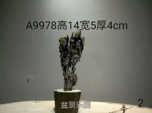 1680400353.jpeg