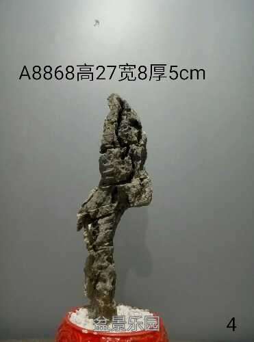 152851472.jpeg