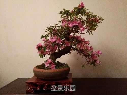 IMG_20170316_211250.jpg