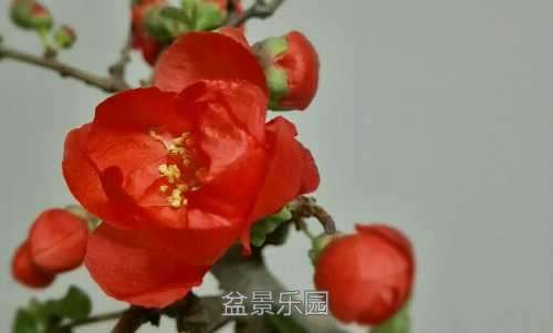 rps20170315_233246.jpg