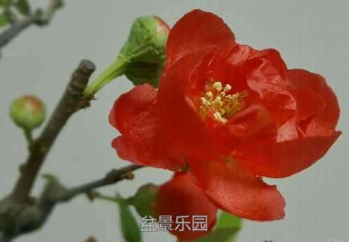 rps20170315_233332.jpg