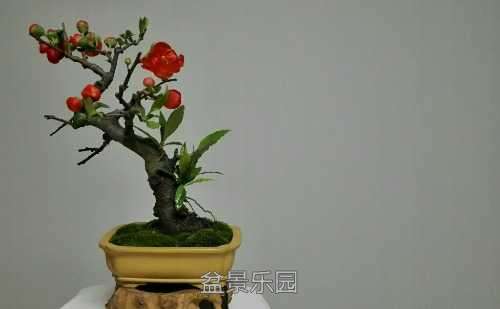 rps20170315_233913.jpg