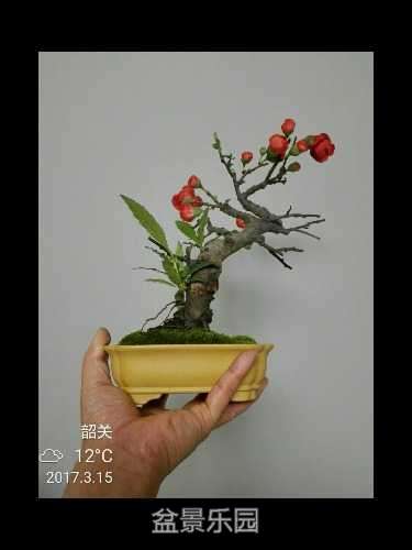 rps20170315_234002.jpg